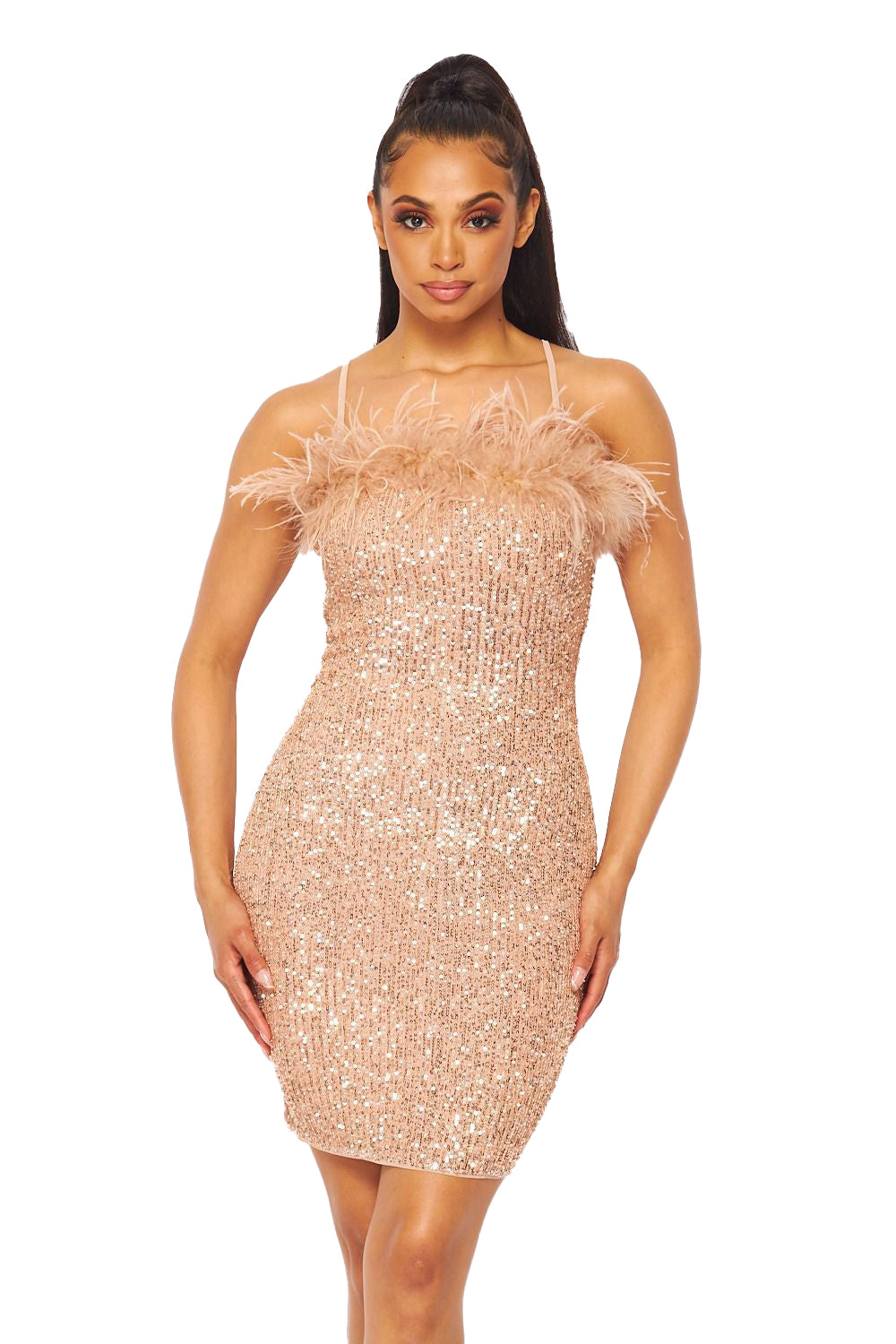 Feather & Sequin Dress